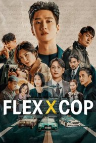 FlexxCop 2024