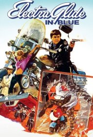 Electra Glide in Blue 1973