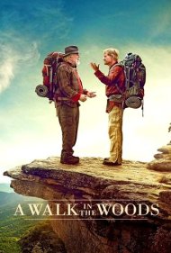 A Walk in the Woods ( 2015 )