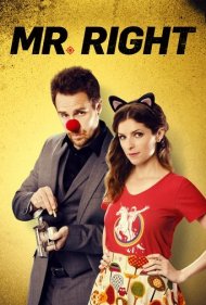 Mr. Right ( 2015 )