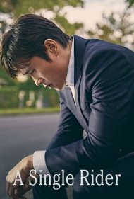 سوارکار تنها