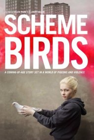 Scheme Birds ( 2019 )
